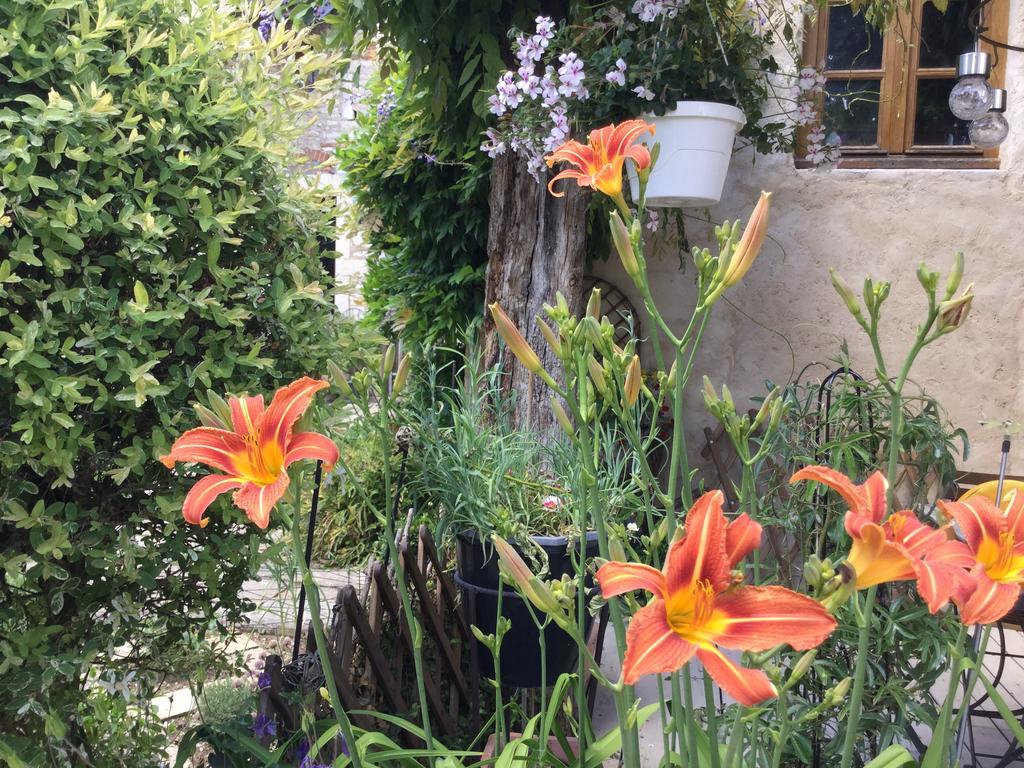 Le Clos De Fernande Corcelles-les-Arts Esterno foto